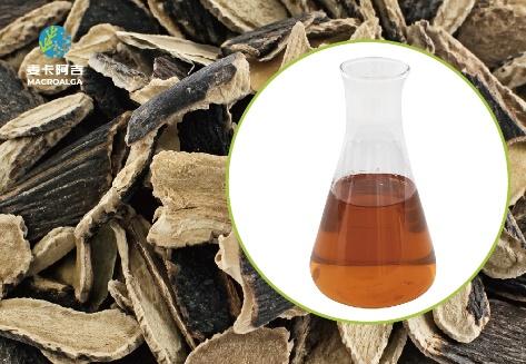 Reliable Ecklonia Maxima Extract Original Manufacturer Delivers Sustainable High-Purity Seaweed Extract for Global Buyers